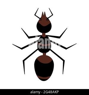 ANT auf weißem Hintergrund isoliert. ANT-Symbol. Insektensilhouette. Einfaches flaches Design mit Logo oder Piktogramm. Bug stilisiertes Zeichen.Stock Vektor Illustration Stock Vektor