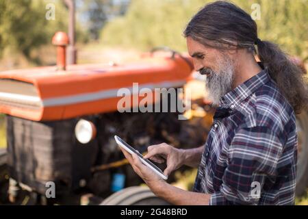 Mann mit digitalen Tablet in Olivenfarm Stockfoto