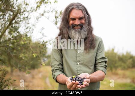 Glücklicher Mann hält geerntete Oliven in Hof Stockfoto