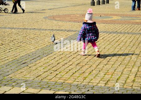 Ein Mädchen füttert Tauben auf dem historischen, gepflasterten Marktplatz. Feder. Tag. Stockfoto