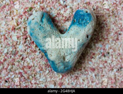 Graublauer herzförmiger Meeresstein, Felsen am Sommerstrand rosa Sand, Blick von oben. Das Herzsymbol flach. Ein Konzept der Liebe. Liebe zur Natur Stockfoto