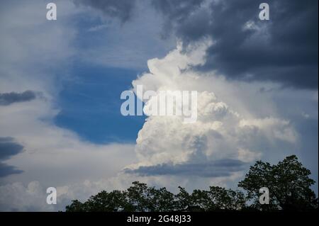 Große weiße Cumuluswolke kurz vor einem Gewitter Stockfoto
