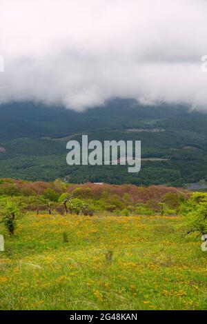 Appalachian Mountains in Virginia, Blick vom Whitetop Mountain. Stockfoto