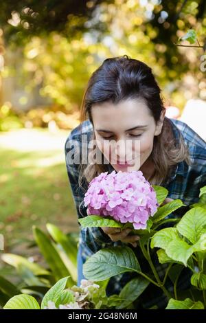 Schöne Frau hockend, während sie nach purpurem Hortensienhaufen riecht Stockfoto