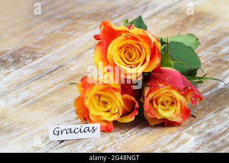 Gracias (danke auf Spanisch) Karte mit drei schönen bunten Rosen, die mit Glitzer auf rustikaler Holzfläche bestreut sind Stockfoto