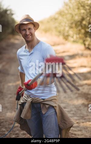 Junger männlicher Landwirt, der auf dem Bauernhof Olivenschwaden hält Stockfoto