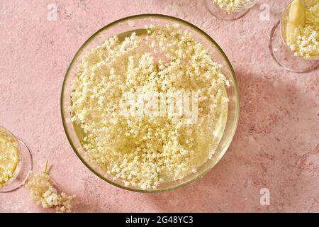 Mazeration frischer Holunderblüten in Wasser - Zubereitung von hausgemachtem Kräutersirup gegen Husten Stockfoto