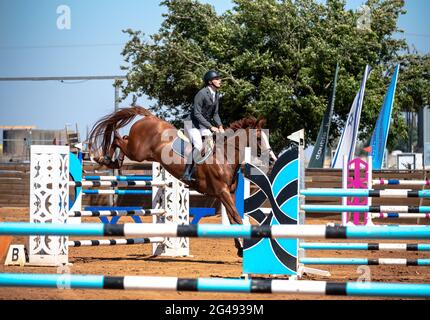 Talor Ilay und Oregano , Israel Horse Jumping Championship 2021 Stockfoto