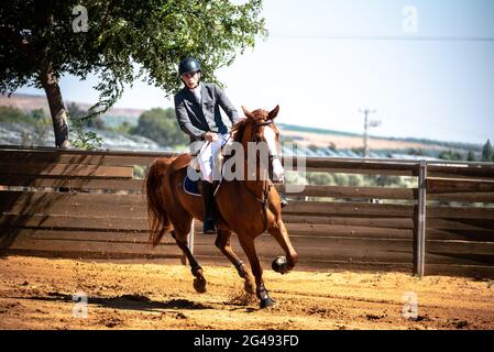 Talor Ilay und Oregano , Israel Horse Jumping Championship 2021 Stockfoto