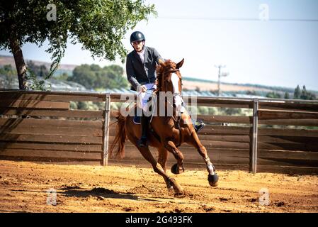 Talor Ilay und Oregano , Israel Horse Jumping Championship 2021 Stockfoto