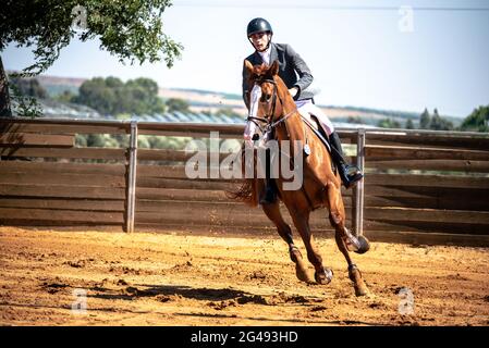 Talor Ilay und Oregano , Israel Horse Jumping Championship 2021 Stockfoto