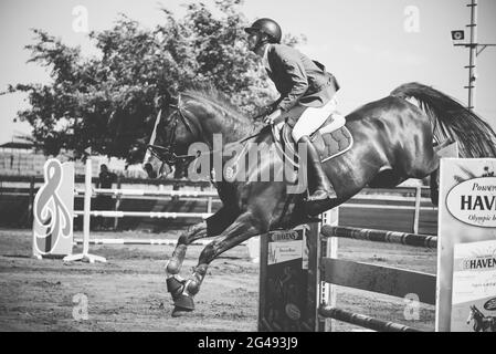 Talor Ilay und Oregano , Israel Horse Jumping Championship 2021 Stockfoto