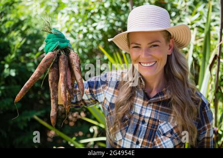 Porträt einer glücklichen Frau, die geerntete Karotten auf dem Feld hält Stockfoto