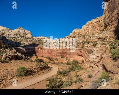 Capitol Gorge Road, Capitol Reef National Park, Torrey, Utah. Stockfoto