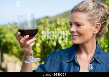 Weibliche Winzerin, die ein Glas Wein untersucht Stockfoto