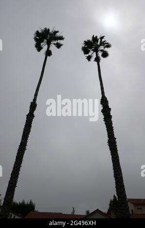 Santa Monica, Kalifornien, USA 18. Juni 2021 EINE allgemeine Sicht auf die Atmosphäre von Michelle Pfeiffers früherem Haus in der 312 16th Street in Santa Monica, Kalifornien, USA. Foto von Barry King/Alamy Stockfoto Stockfoto