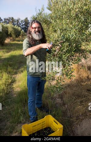 Porträt eines glücklichen Mannes, der Olivenbaum auf dem Bauernhof beschnitten hat Stockfoto