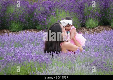 Richmond, Kanada. Juni 2021. Menschen besuchen eine Lavendelfarm in Richmond, British Columbia, Kanada, 19. Juni 2021. Quelle: Liang Sen/Xinhua/Alamy Live News Stockfoto