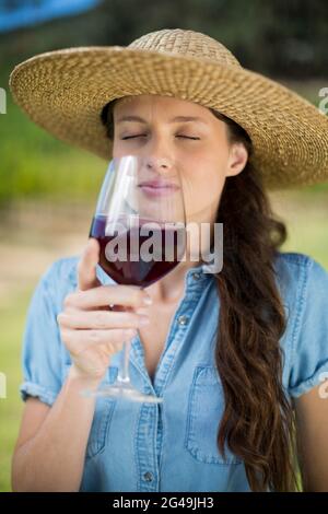 Junge Frau riecht Rotwein im Glas Stockfoto