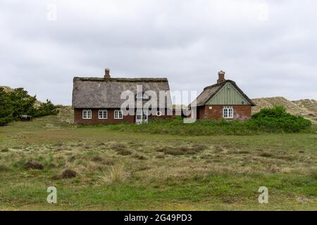 Traditionelles dänisches Haus mit Reetdach in einer Küstensanddünenlandschaft Stockfoto