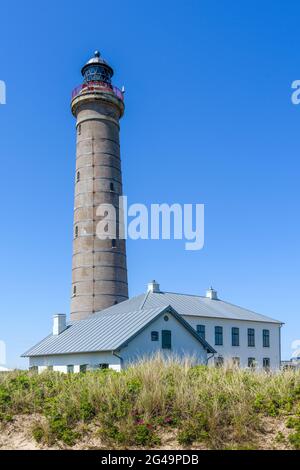 Blick auf den Leuchtturm von Skagen und Sanddünen mit Gräsern im Vordergrund Stockfoto