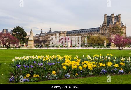 Paris/Frankreich - 05 April 2019. Wunderbare Feder Tuileries Garten und Blick auf den Louvre Stockfoto