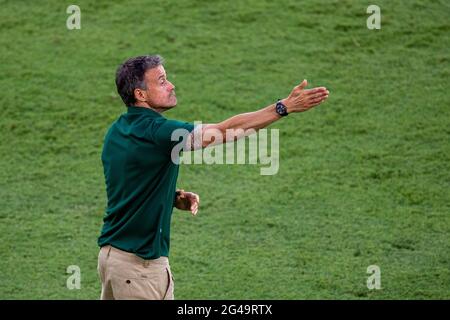 Sevilla, Spanien. Juni 2021. Spaniens Trainer Luis Enrique reagiert während des Spiels der Gruppe E zwischen Spanien und Polen bei der UEFA Euro 2020 in Sevilla, Spanien, am 19. Juni 2021. Quelle: Meng Dingbo/Xinhua/Alamy Live News Stockfoto