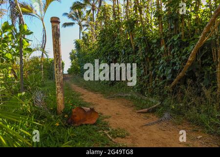 HANALEI, HAWAII, USA - 01. Jun 2021: Ein Wanderzeichen markiert den kurzen Fußweg zum verborgenen Kepuhi Beach von Kauai. Stockfoto