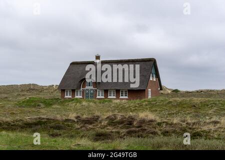 Traditionelles dänisches Haus mit Reetdach in einer Küstensanddünenlandschaft Stockfoto