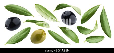 Schwarze und Grüne Oliven mit Blättern auf weißem Hintergrund Stockfoto