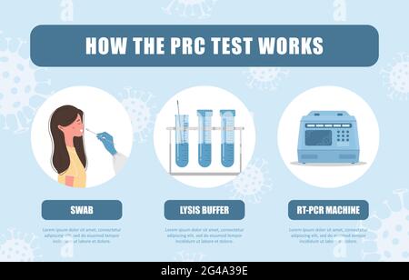 Funktionsweise des PCR-Tests. Laboranalyse von Biomaterialien mit Nasenabstrich. Infografik zu Covid-19 Coronavirus-Tests. Die Frau befindet sich in einer medizinischen Untersuchung Stock Vektor