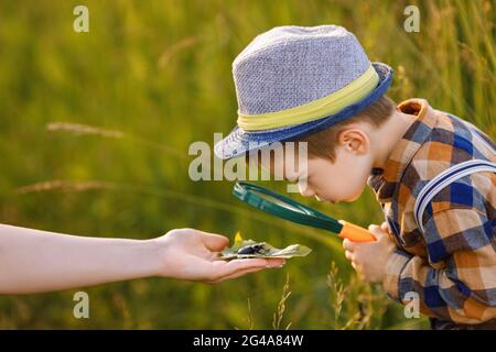 Kleiner Junge erkundet die Natur auf der Wiese mit einer Lupe Stockfoto