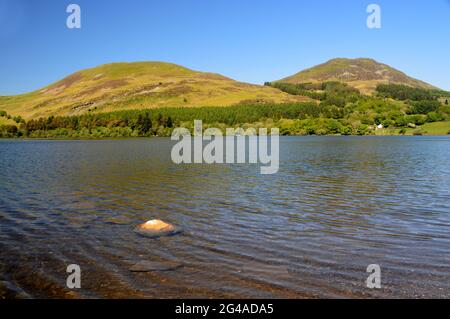 Darling Fell & The Wainwright Low Fell mit Loweswater Lake aus Holme Wood im Lake District National Park, Cumbria, England, Großbritannien. Stockfoto