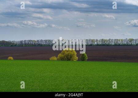 Landwirtschaftliche Frühlingslandschaft, Naturschutzgebiet Podilski Tovtry, Region Podilia, Südwestukraine Stockfoto