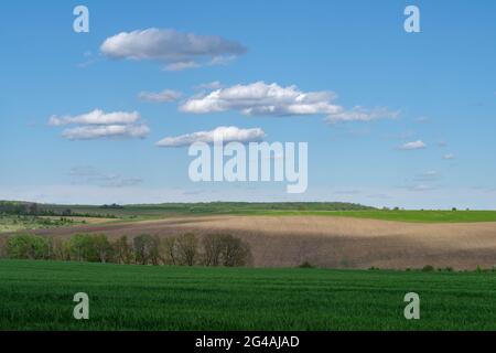 Landwirtschaftliche Frühlingslandschaft, Naturschutzgebiet Podilski Tovtry, Region Podilia, Südwestukraine Stockfoto