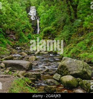 „Little Fawn Falls“ liegt im Wald des Achray Forest, nördlich von Aberfoyle im Trossachs National Park, Western Highlands, Schottland. Stockfoto