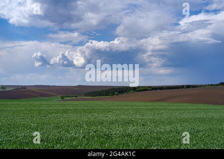 Landwirtschaftliche Frühlingslandschaft, Naturschutzgebiet Podilski Tovtry, Region Podilia, Südwestukraine Stockfoto