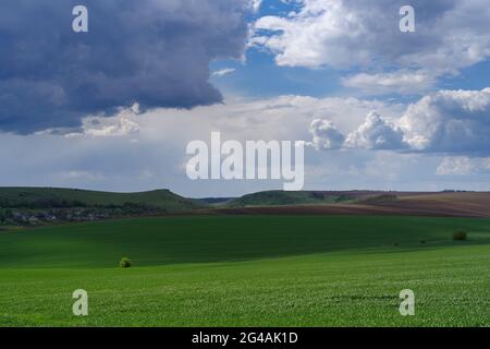 Landwirtschaftliche Frühlingslandschaft, Naturschutzgebiet Podilski Tovtry, Region Podilia, Südwestukraine Stockfoto