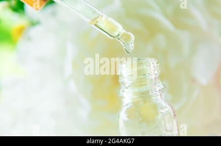 Tinktur aus Pfingstrosen in einem Pipettentropfen. Selektiver Fokus. Natur. Stockfoto