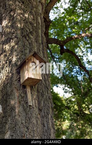 Spaziergänge im Spring Park Stockfoto