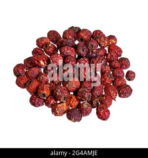 Trockene Ästpflanzen mit Crataegus aestivalis Beeren isoliert auf weiß. Stockfoto