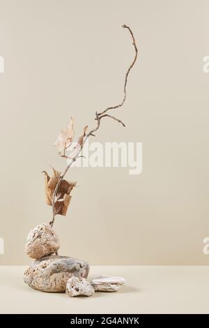 Naturszene mit Komposition aus Steinen und trockenem Ast Stockfoto