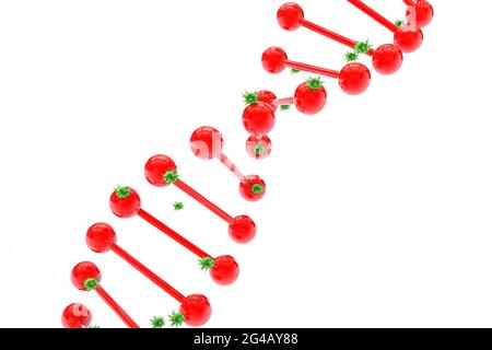 3d-stilisiertes Bild einer DNA-Kette in roten Farben, die mit Viren und Bakterien infiziert sind, auf weißem Hintergrund Stockfoto