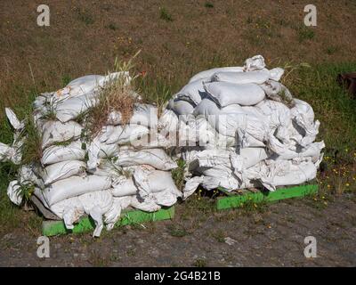 Alte gestapelte weiße Sandsäcke, wo das Unkraut herauswächst Stockfoto