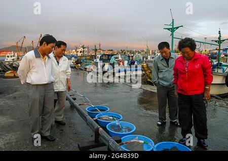 20. Juni 2021-Kosong, Südkorea-in Dieses Foto wurde am 13. Juni 2003 aufgenommen. Fischermänner, die am frühen Morgen im Fischereihafen im Hafen von Keojin, Kosong, Südkorea, arbeiteten. Kosong County in der Provinz Kangwon, Nordkorea. Sie liegt in der südlichsten Ecke Nordkoreas, unmittelbar nördlich der demilitarisierten Zone Koreas. Vor dem Ende des Koreakrieges im Jahr 1953 bildete sie zusammen mit der heutigen südkoreanischen Grafschaft mit dem gleichen Namen eine einzige Grafschaft. Bei einer anschließenden Reorganisation nahm der Landkreis den südlichen Teil des Landkreises Tongchon auf. Stockfoto