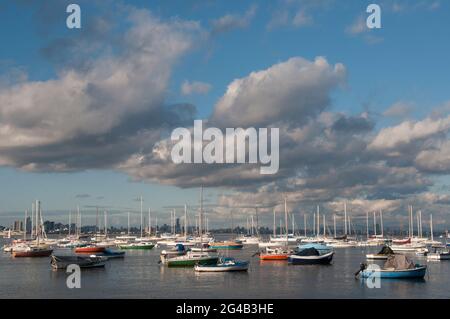 Yachten vor Anker in Hobsons Bay, Williamstown, Melbourne, Australien Stockfoto