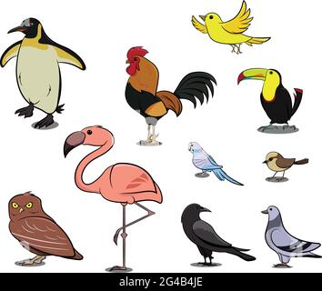 Vögel aus verschiedenen Teilen der Welt. Gewöhnliche Vögel. Pinguin Huhn Sperling Dodo Vogel Taubenente Schwaneneule Krähe. Symbolsatz Vektorgrafiken. Stock Vektor