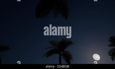 Nacht Palmen Mond Landschaft Insel Urlaub Reise tropische Natur Blauer Sternenhimmel 3d Render Stockfoto