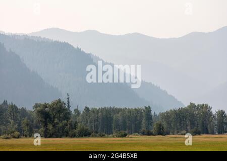 Cabinet Mountains, Kootenai National Forest, Montana, USA Stockfoto