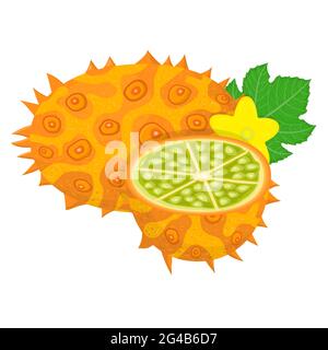 Frische ganze und halb geschnittene gelbe Kiwano-Frucht isoliert auf weißem Hintergrund. Sommerfrüchte für einen gesunden Lebensstil. Bio-Obst. Cartoon-Stil. Vektor i Stock Vektor